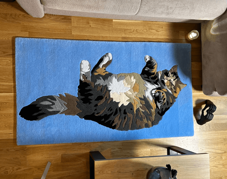 Primo piano dei dettagli facciali e della texture del pelo del Tappeto Gatto